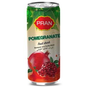 Juice Can-pomegranate