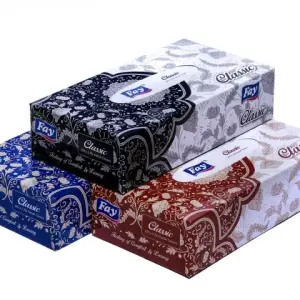 Fay Tissufay tissue box-100Sheet