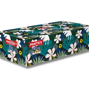 Partex Cleen Facial Tissue Paper-120pcs